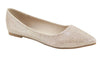 Bella Marie Angie Classic Pointy Toe Ballet Flats Shoes Champagne Glitter (9, Champagne Glitter-53)