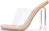 Cape Robbin Pensy Nude Fashion Slip On Casual Open Toe Clear Strap Heeled Sandals